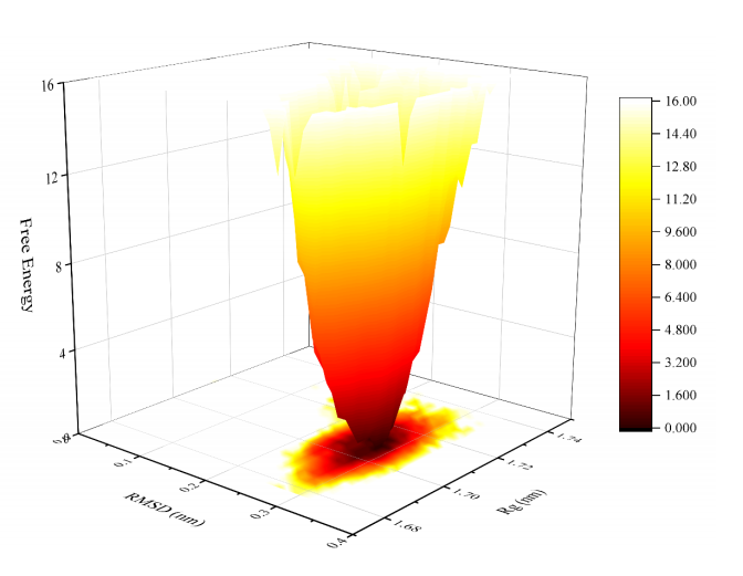 分子动力学模拟技术服务