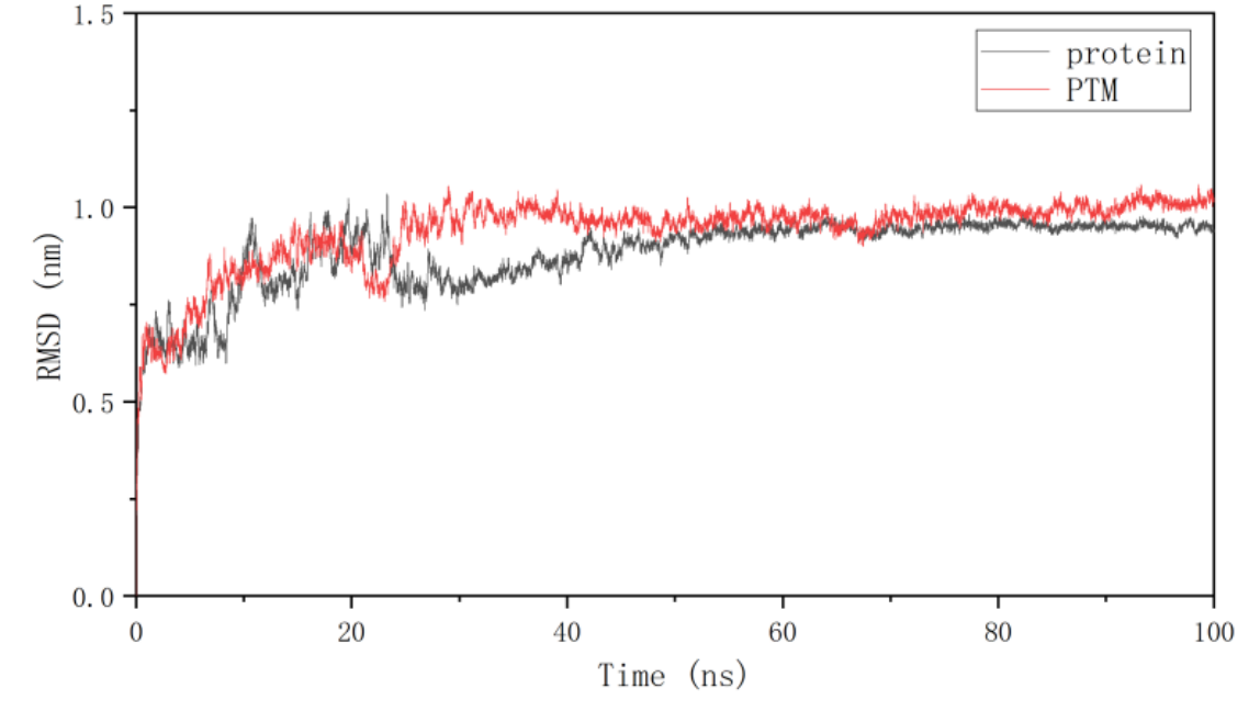 分子动力学模拟技术服务