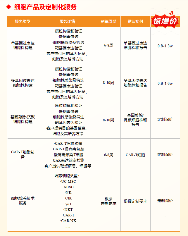 质粒/病毒载体/细胞系构建/感受态