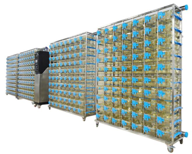 小鼠IVC饲养笼,IVC小鼠饲养笼