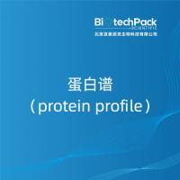 蛋白谱（protein profile）