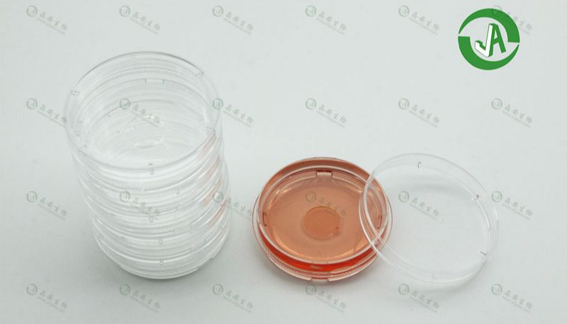 如何让细胞在激光共聚焦玻璃底培养皿上培养的更好呢？