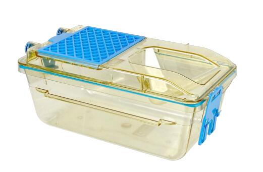 小鼠IVC饲养笼,IVC小鼠饲养笼