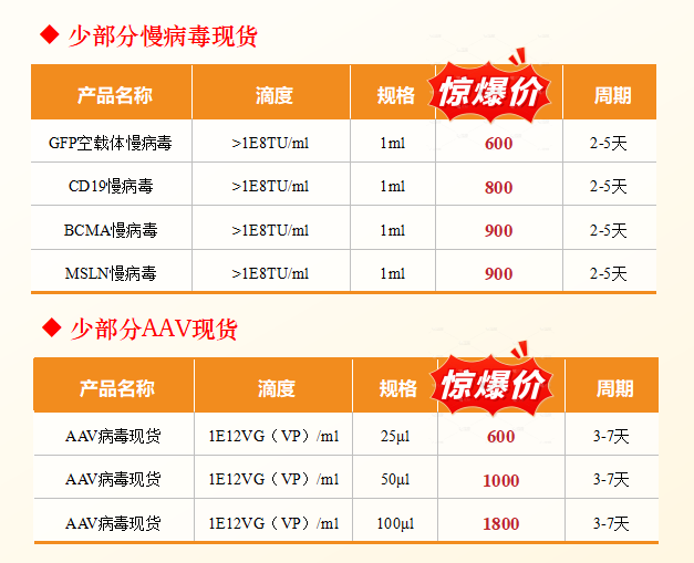 质粒/病毒载体/细胞系构建/感受态