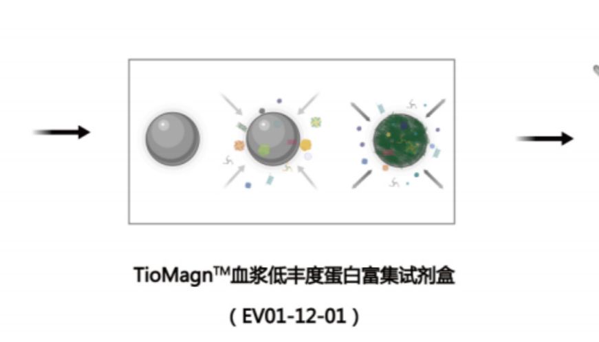 TioMagn血浆低丰度蛋白富集试剂盒（25 T）