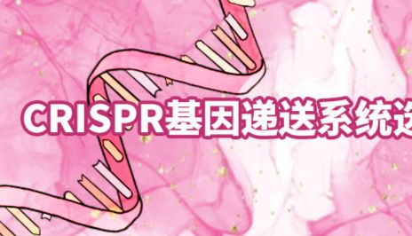 一文了解质粒DNA、RNA、RNP非病毒系统递送CRISPR组分的不同特点