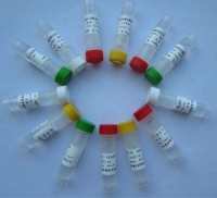 Recombinant Mouse FTO