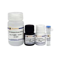 乳酸脱氢酶释放检测试剂盒(WST-8法)