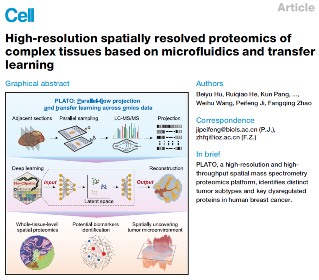 PLATO:革命性的高分辨率空间质谱蛋白质组学平台
