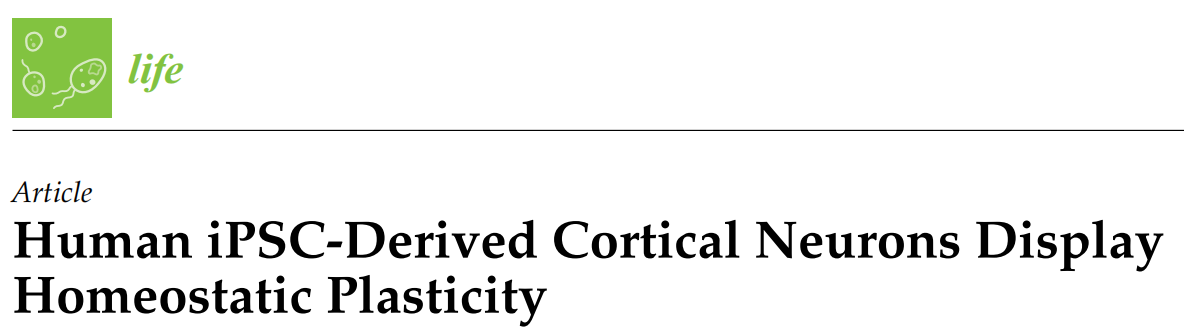 文献分享 | 针对健康人iPSC分化的细胞，用各种刺激因素处理，可以构建疾病或发育等模型，从而进行功能机制等研究