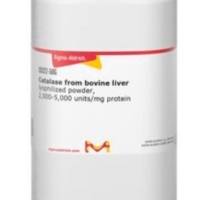 Sigma货号C9322过氧化氢酶Catalase from bovine liver上海睿安生物13611631389