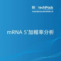  mRNA 5’加帽率分析