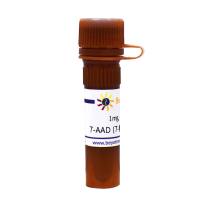 7-AAD (7-氨基放线 菌素D)