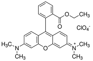 线粒体膜电位检测试剂盒(TMRE)