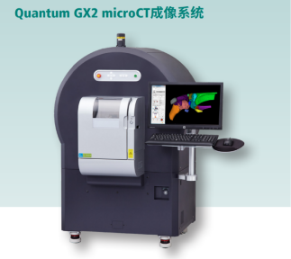 南模生物体内药效平台Micro-CT技术应用实例，助力小鼠临床前药效评价