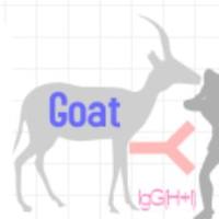 Goat  Anti-Human IgG（h+l）山羊抗人IgG(H+L)