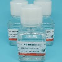 青霉素-链霉素-新霉素混合溶液(100×三抗)