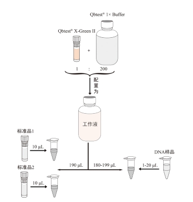 Qbtest® X-Green II 双链 DNA 定量试剂