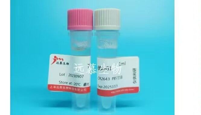 常见的BCA法检测蛋白定量实验步骤