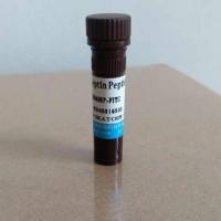 激肽释放酶7(KLK7)重组蛋白,人