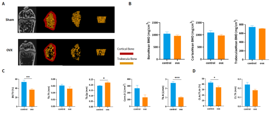 南模生物体内药效平台Micro-CT技术应用实例，助力小鼠临床前药效评价