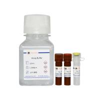 线粒体深红色荧光染色试剂盒(Mito-Tracker Deep Red FM)