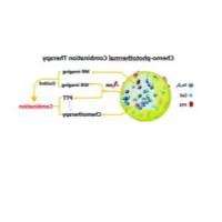 负载PTX(紫杉醇)的BSA(牛血清白蛋白)纳米粒子被半胱氨酸Cys修饰的Fe3O4和CuS(硫化铜纳米晶体)修饰