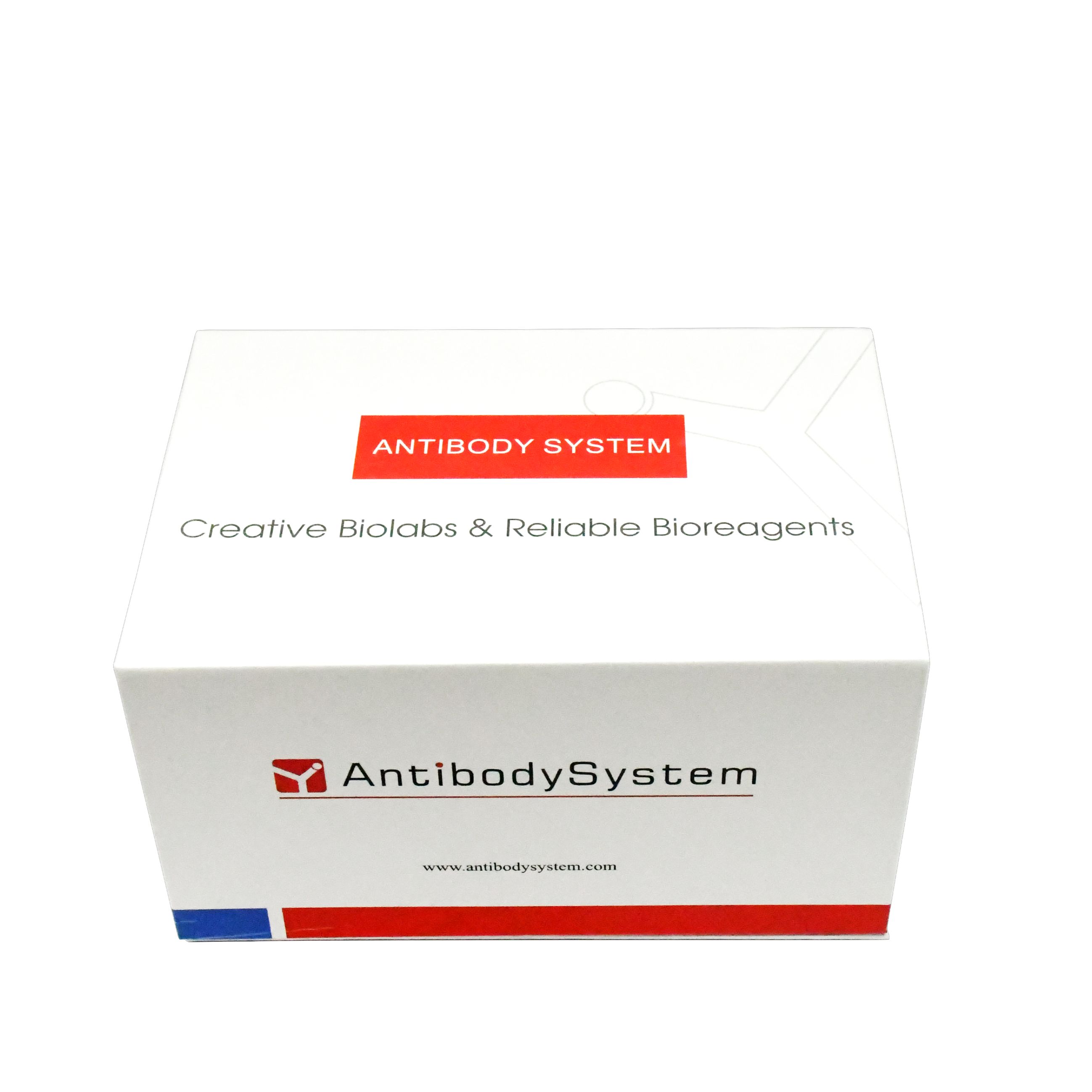 HMPV M/Matrix protein ELISA Kit