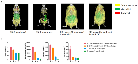 南模生物体内药效平台Micro-CT技术应用实例，助力小鼠临床前药效评价