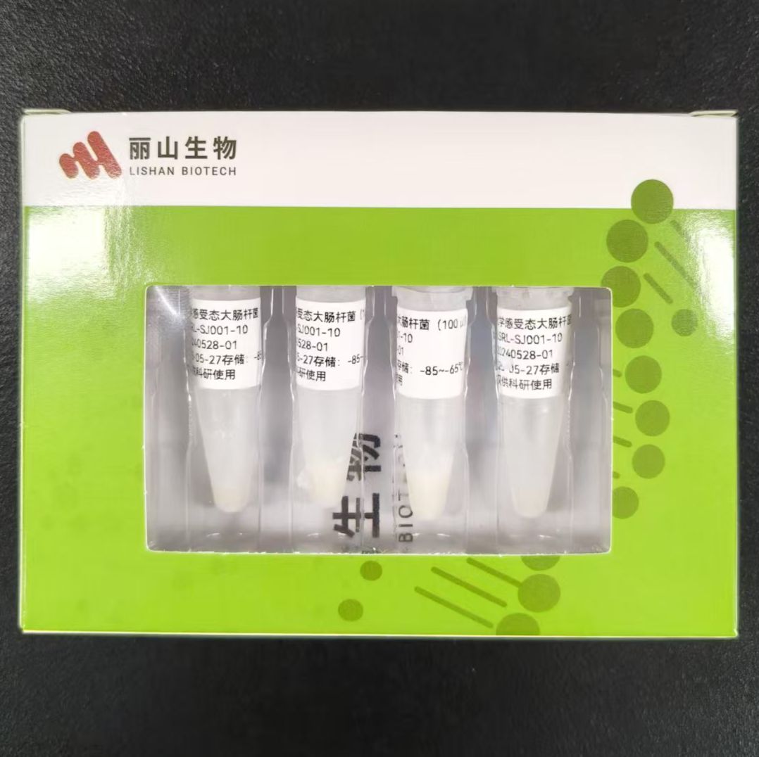 大肠杆菌感受态