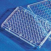 Human NGAL ELISA Kit