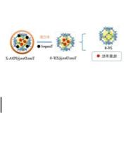 负载抗氧化剂TempoI和地塞米松的ZIF-8 纳米粒子被聚多巴胺PDA修饰