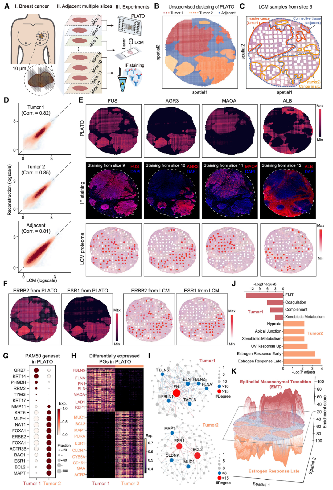 PLATO:革命性的高分辨率空间质谱蛋白质组学平台