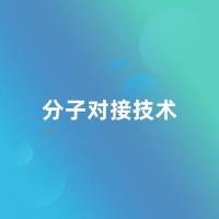 分子对接技术服务（molecular docking）