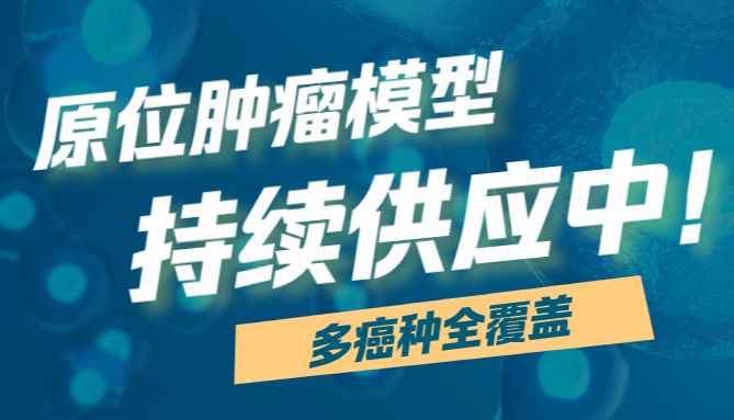 多癌种全覆盖！总有一款原位移植瘤模型适合你！