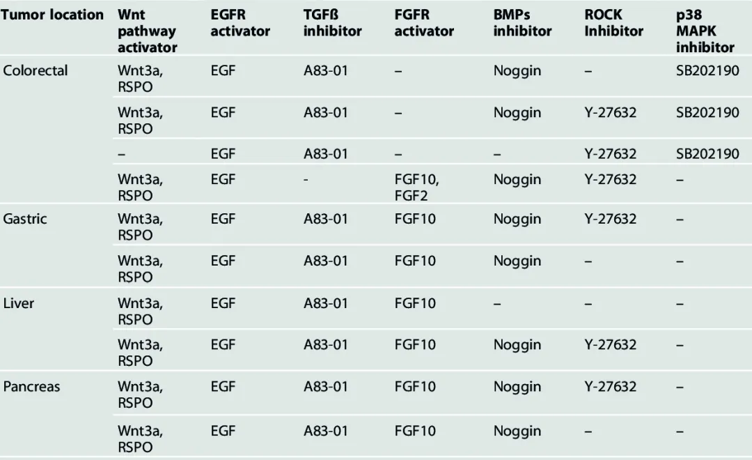 细胞因子助力肿瘤类器官培养，解锁精准医学研究新篇章