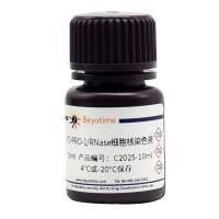 YO-PRO-1/RNase细胞核染色液