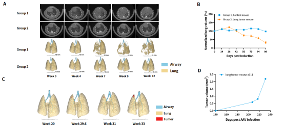 南模生物体内药效平台Micro-CT技术应用实例，助力小鼠临床前药效评价