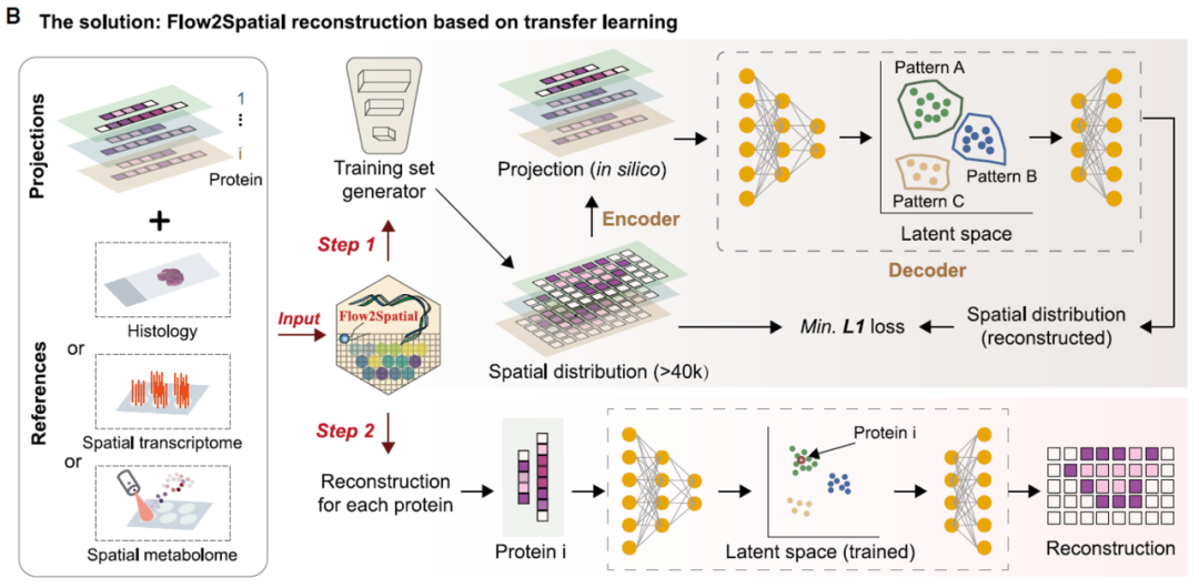 PLATO:革命性的高分辨率空间质谱蛋白质组学平台