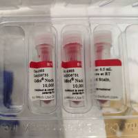 Biotium 41003核酸染料GelRed(替代EB)上海睿安生物13611631389