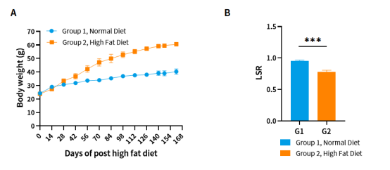 南模生物体内药效平台Micro-CT技术应用实例，助力小鼠临床前药效评价
