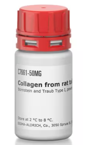 Sigma货号C7661-100mg胶原蛋白I型(来源于大鼠