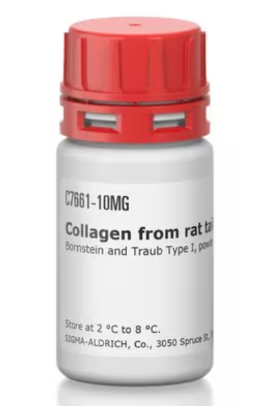 Sigma货号C7661-100mg胶原蛋白I型(来源于大鼠