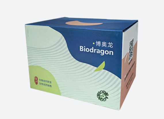 Biodragon博奥龙BF06203慢病毒滴度HIV P2