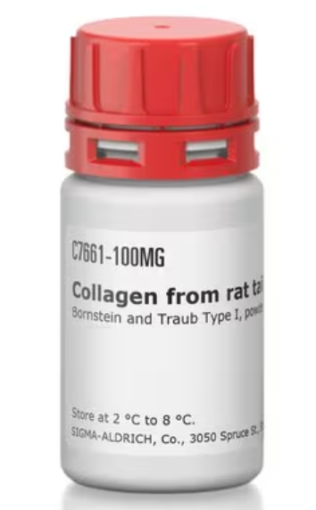 Sigma货号C7661-100mg胶原蛋白I型(来源于大鼠