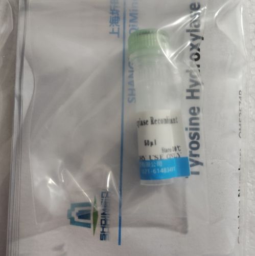 碘甲腺原氨酸脱碘酶Ⅱ(DIO2)重组蛋白,大鼠