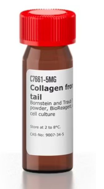 Sigma货号C7661-100mg胶原蛋白I型(来源于大鼠