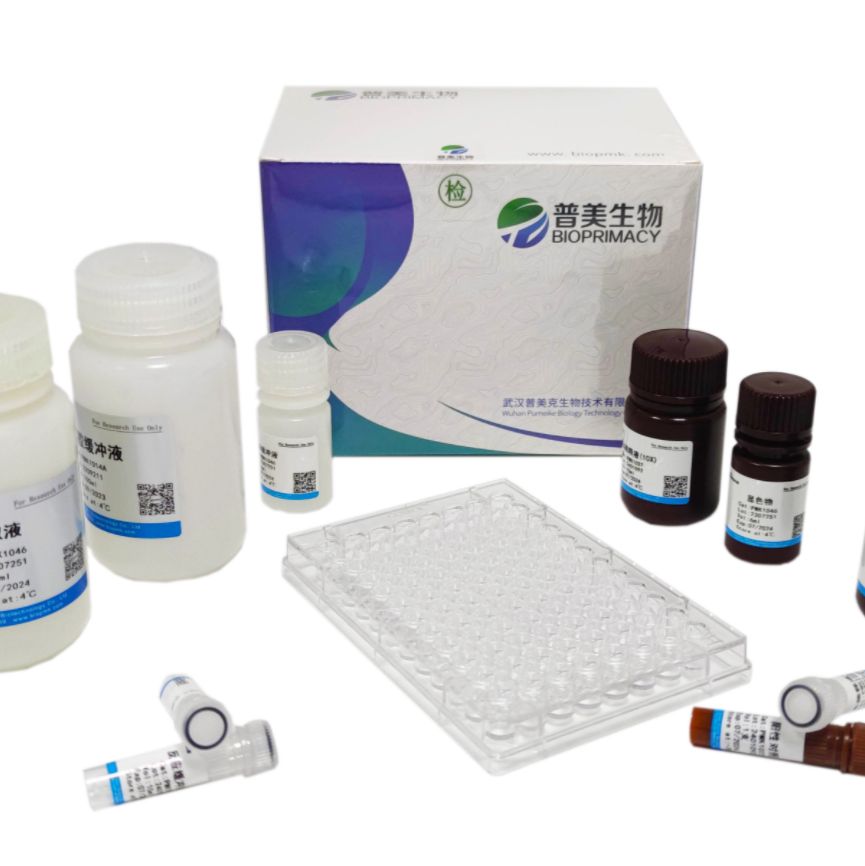 Annexin V-Super Fluor647/PI 细胞凋亡检测试剂盒