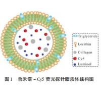 负载鲁米诺(luminol)和荧光染料CY5的脂质体