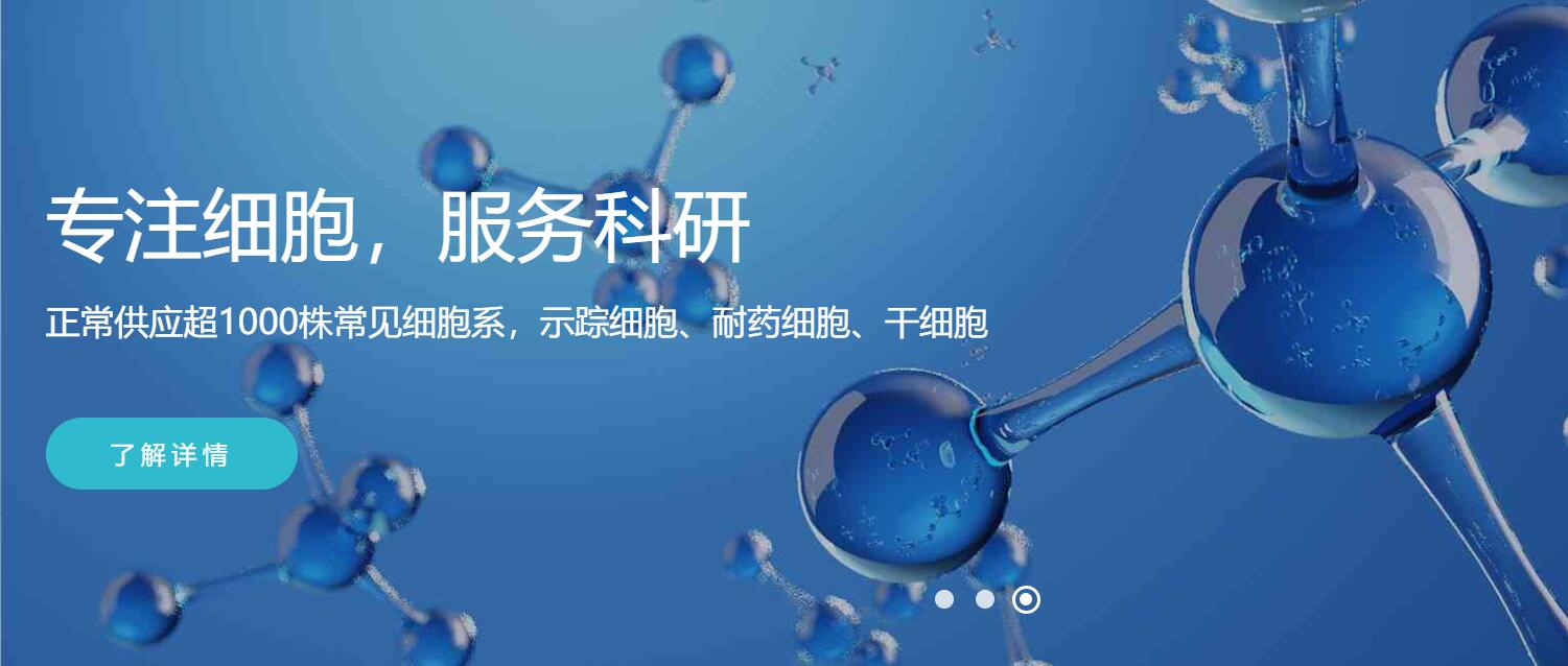 LLC小鼠lewis肺癌细胞(STR鉴定正确)